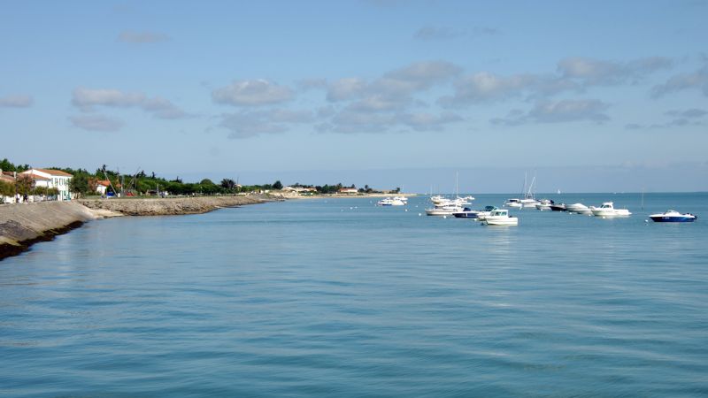 Photo 20 : AUTRE d'une maison située à La Flotte-en-Ré, île de Ré.