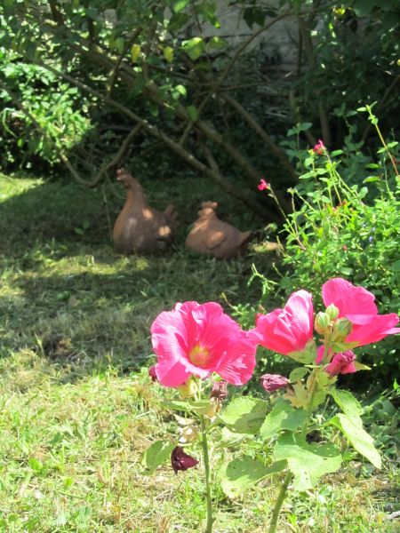 Photo 18 : NC d'une maison située à Ars en Ré, île de Ré.
