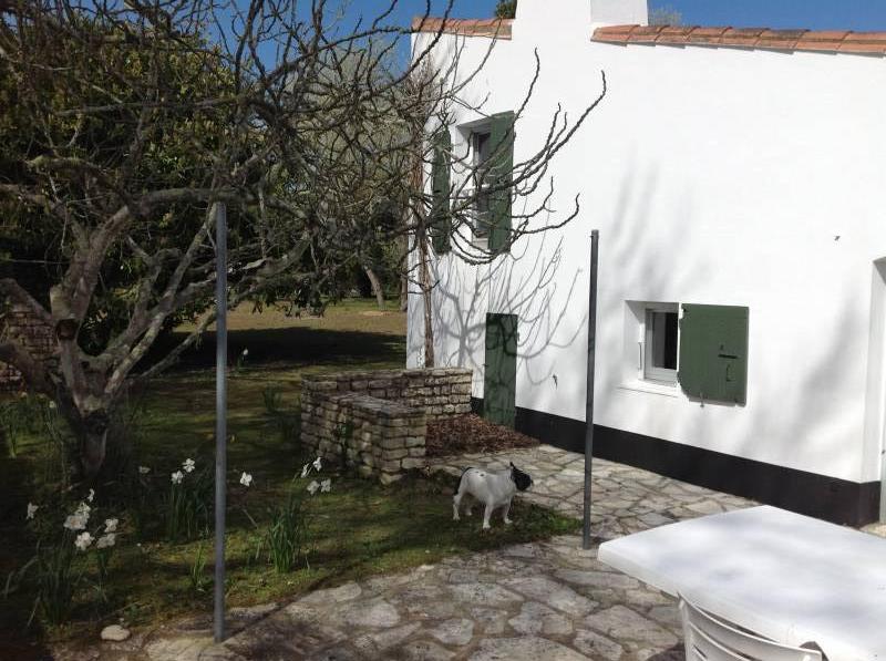 Photo 12 : TERRASSE d'une maison située à Les Portes-en-Ré, île de Ré.