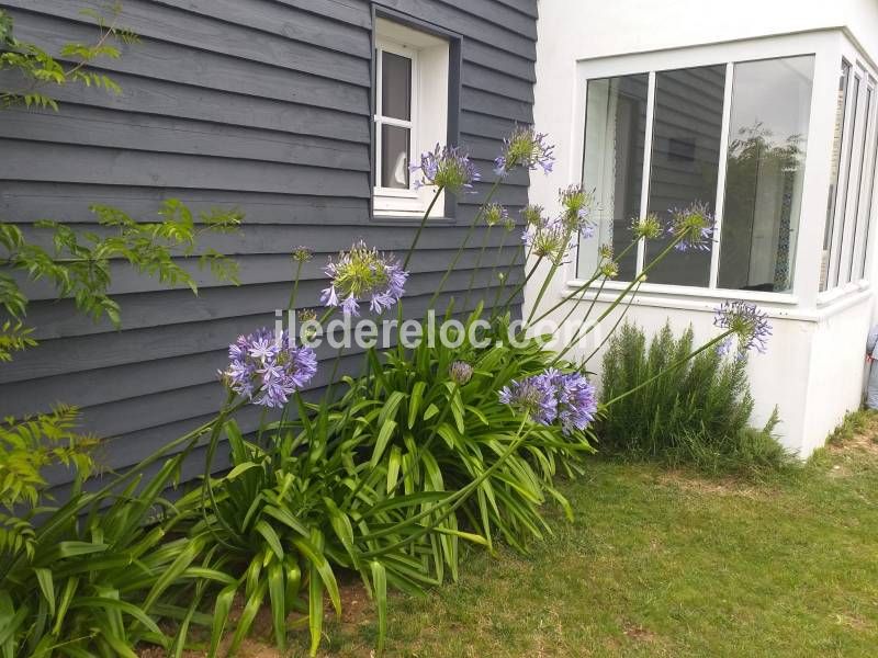 Photo 4 : JARDIN d'une maison située à Ars en Ré, île de Ré.