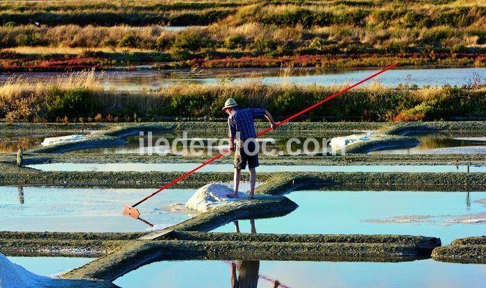 Photo 20 : NC d'une maison située à Ars en Ré, île de Ré.