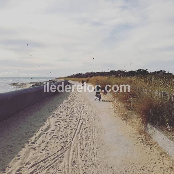 Photo 19 : NC d'une maison située à Saint-Clément-des-Baleines, île de Ré.