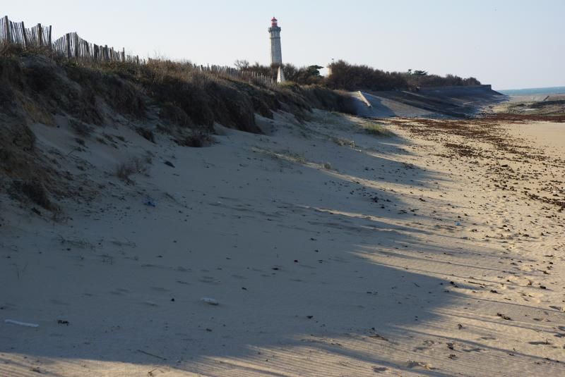 Photo 13 : NC d'une maison située à Saint-Clément-des-Baleines, île de Ré.