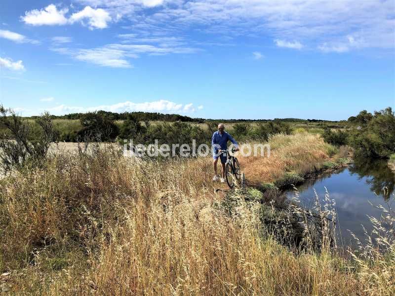 Photo 31 : AUTRE d'une maison située à La Flotte-en-Ré, île de Ré.