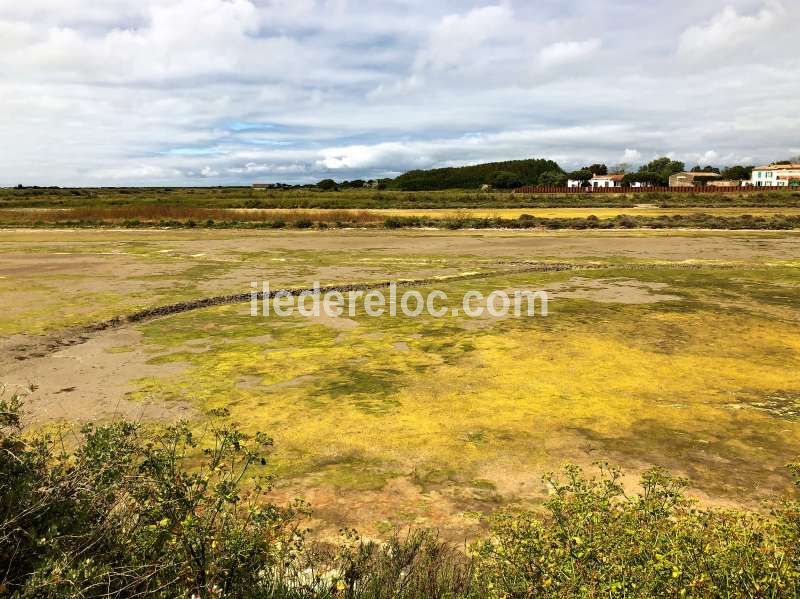 Photo 34 : NC d'une maison située à La Flotte-en-Ré, île de Ré.