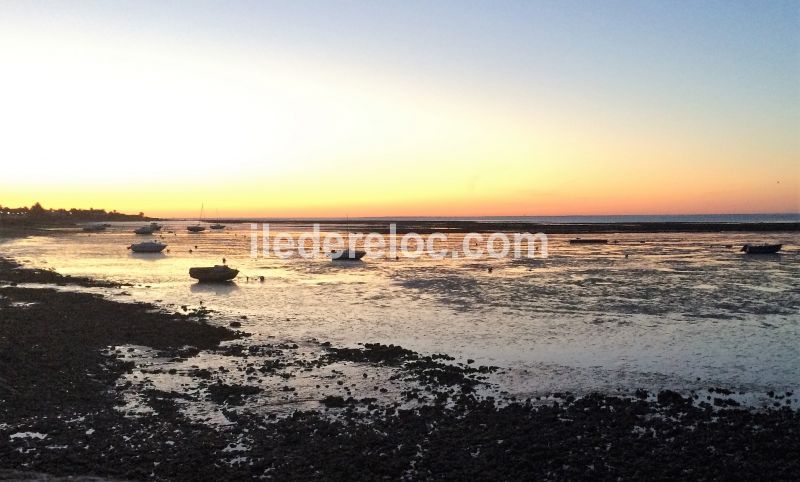 Photo 28 : AUTRE d'une maison située à La Flotte-en-Ré, île de Ré.