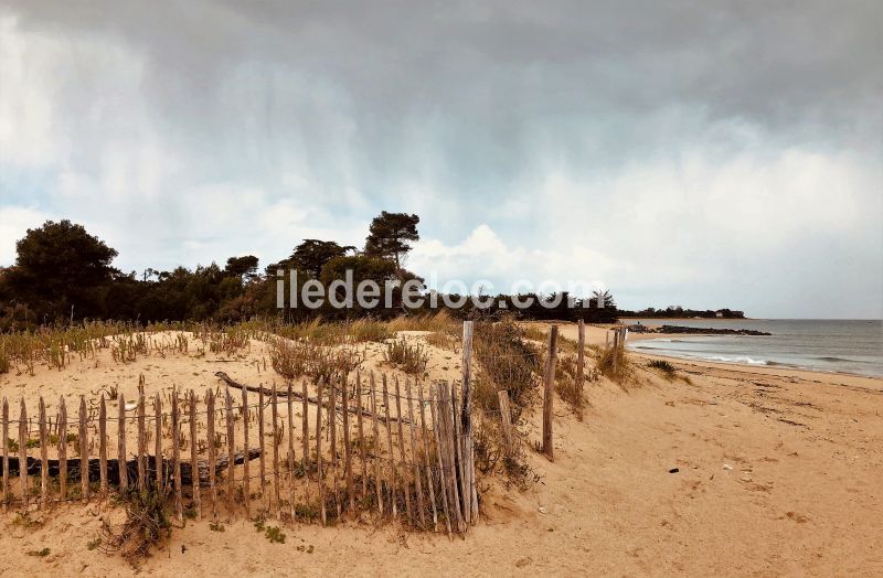 Photo 26 : NC d'une maison situ&eacute;e &agrave; La Flotte-en-R&eacute;, &icirc;le de R&eacute;.