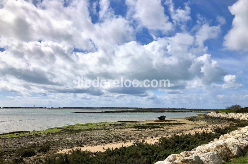 Photo 27 : NC d'une maison situ&eacute;e &agrave; La Flotte-en-R&eacute;, &icirc;le de R&eacute;.