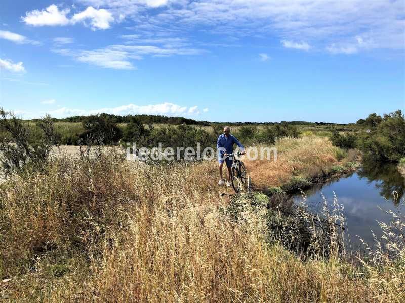 Photo 28 : NC d'une maison situ&eacute;e &agrave; La Flotte-en-R&eacute;, &icirc;le de R&eacute;.