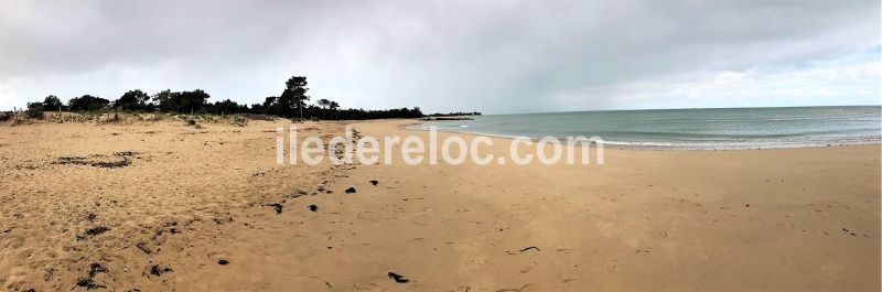Photo 29 : NC d'une maison situ&eacute;e &agrave; La Flotte-en-R&eacute;, &icirc;le de R&eacute;.