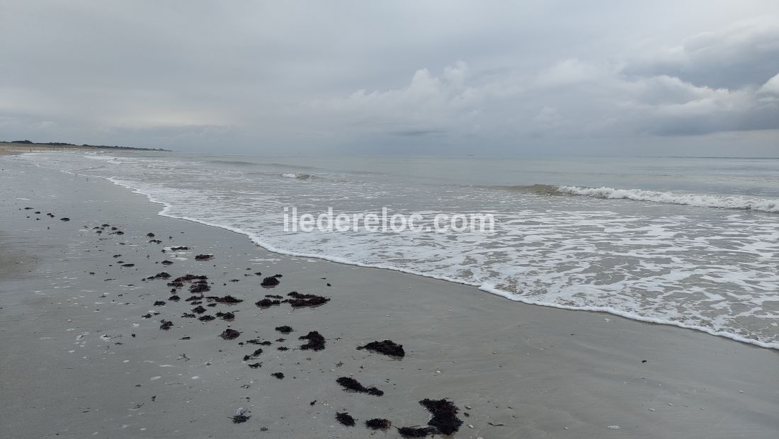 Photo 34 : AUTRE d'une maison située à Le Bois-Plage-en-Ré, île de Ré.