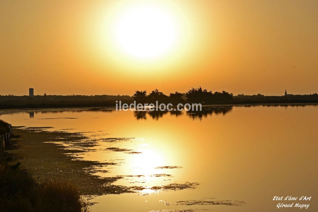 Photo 41 : NC d'une maison située à Le Bois-Plage-en-Ré, île de Ré.