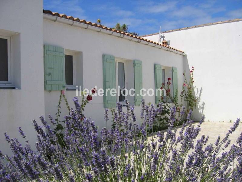 Photo 16 : EXTERIEUR d'une maison située à La Couarde-sur-mer, île de Ré.