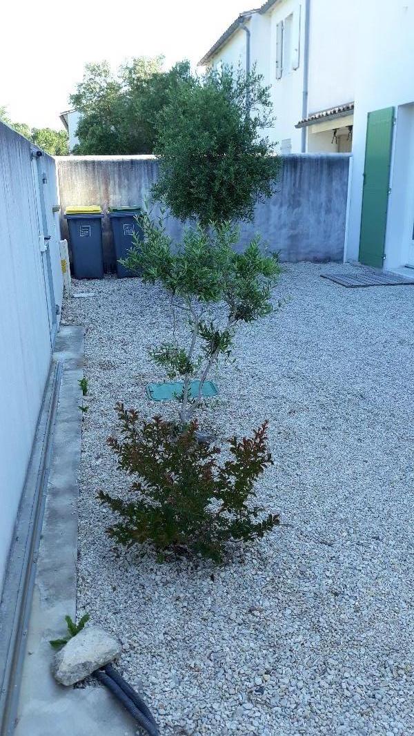 Photo 20 : PATIO d'une maison située à Les Portes, île de Ré.