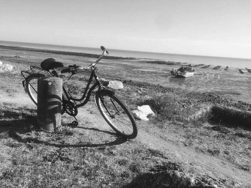 Photo 13 : AUTRE d'une maison située à La Flotte-en-Ré, île de Ré.