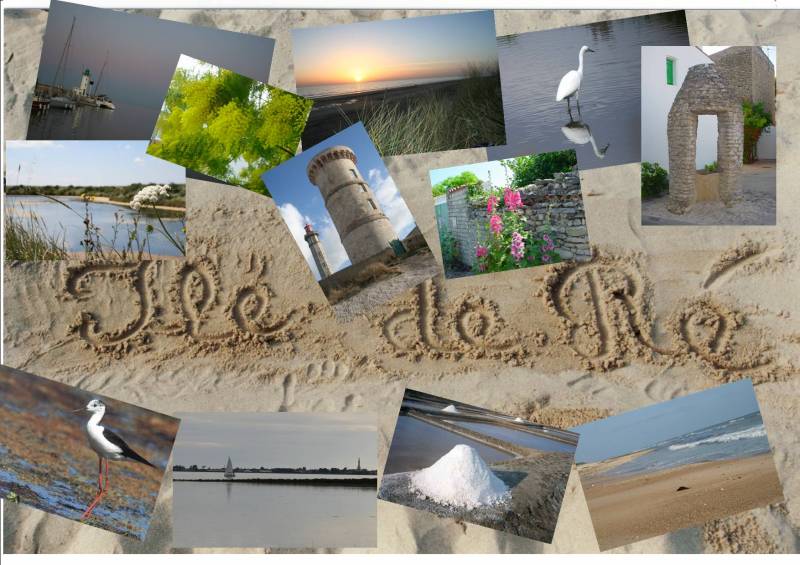 Photo 9 : AUTRE d'une maison située à La Flotte-en-Ré, île de Ré.