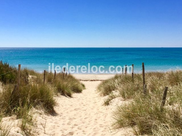 Photo 19 : NC d'une maison située à La Couarde-sur-mer, île de Ré.