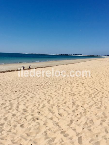 Photo 20 : NC d'une maison située à La Couarde-sur-mer, île de Ré.