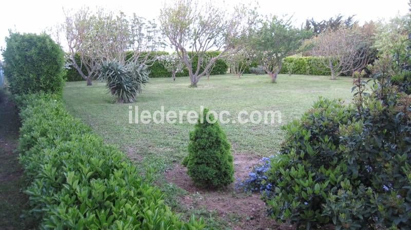 Photo 2 : JARDIN d'une maison située à Loix, île de Ré.