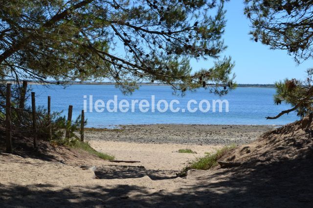 Photo 20 : NC d'une maison située à Les Portes, île de Ré.