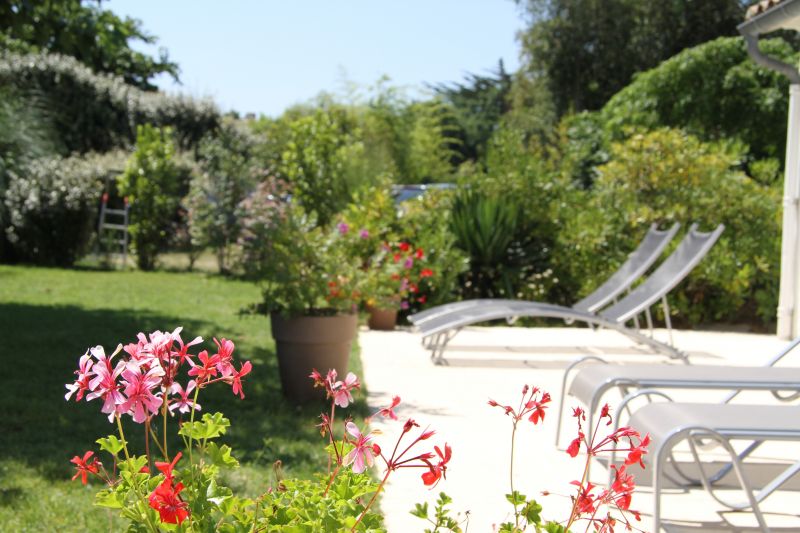 Photo 2 : TERRASSE d'une maison située à Les Portes-en-Ré, île de Ré.