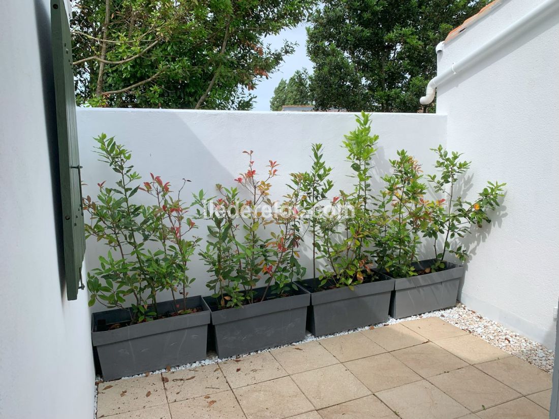 Photo 9 : PATIO d'une maison située à Sainte-Marie-de-Ré, île de Ré.