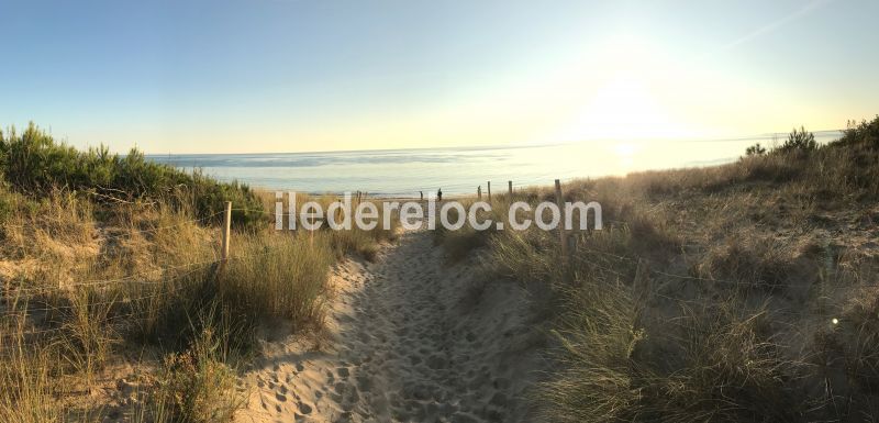 Photo 4 : NC d'une maison située à La Couarde-sur-mer, île de Ré.