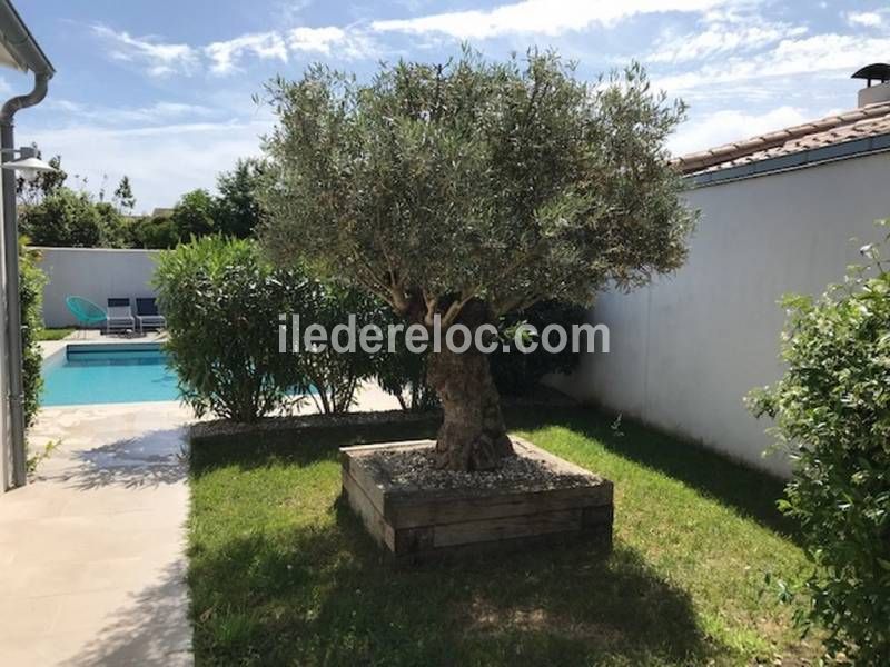 Photo 8 : JARDIN d'une maison située à Le Bois-Plage-en-Ré, île de Ré.