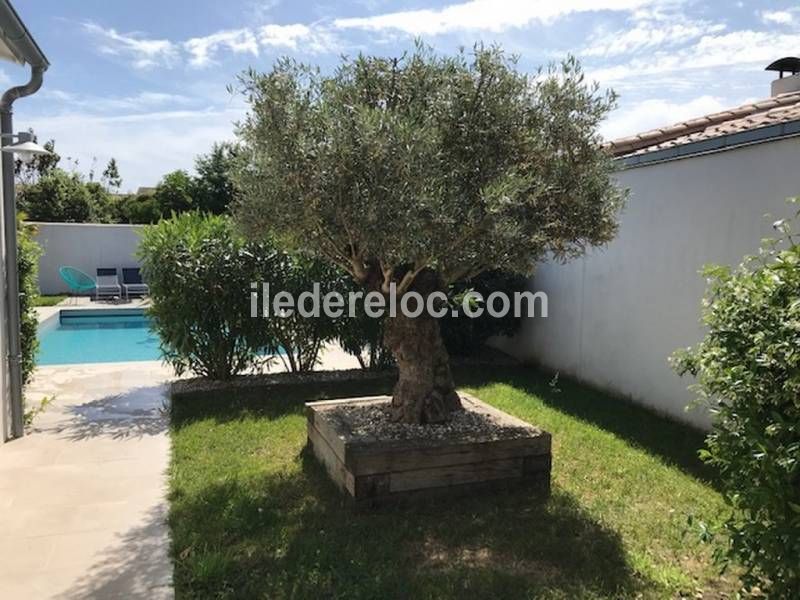 Photo 8 : JARDIN d'une maison située à Le Bois-Plage, île de Ré.