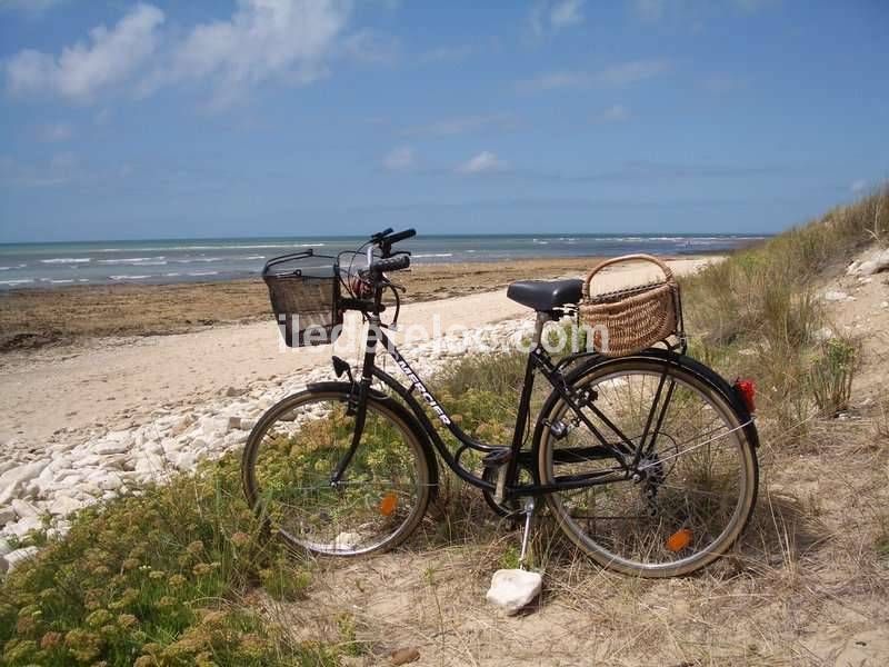 Photo 23 : NC d'une maison située à Rivedoux-Plage, île de Ré.