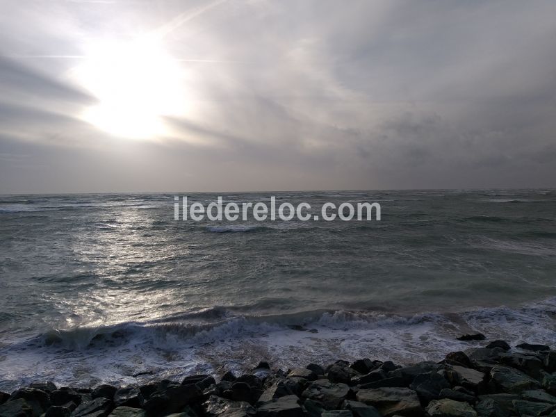 Photo 12 : AUTRE d'une maison située à Saint-Clément-des-Baleines, île de Ré.