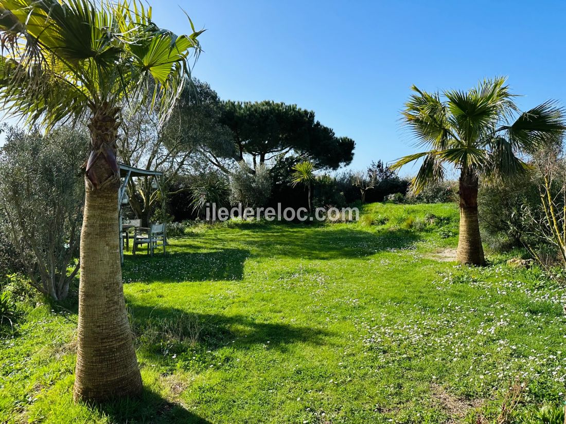 Photo 25 : JARDIN d'une maison située à Loix, île de Ré.