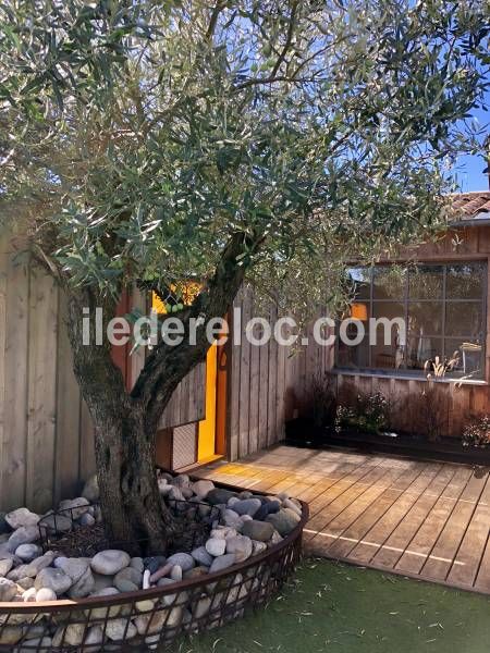 Photo 16 : EXTERIEUR d'une maison située à La Couarde-sur-mer, île de Ré.