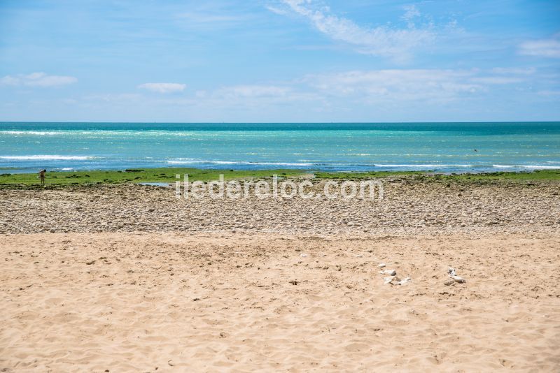 Photo 17 : NC d'une maison située à Sainte-Marie-de-Ré, île de Ré.