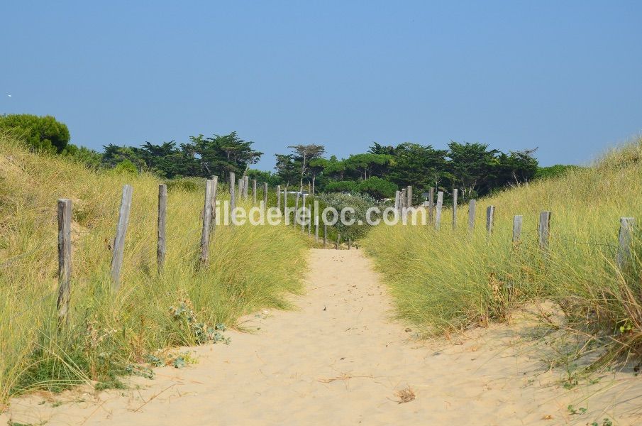 Photo 34 : NC d'une maison située à Sainte-Marie-de-Ré, île de Ré.