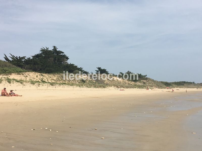 Photo 29 : EXTERIEUR d'une maison située à La Couarde-sur-mer, île de Ré.