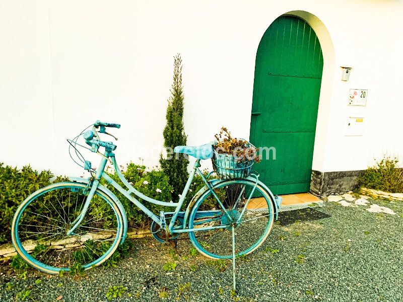 Photo 39 : NC d'une maison située à La Couarde-sur-mer, île de Ré.