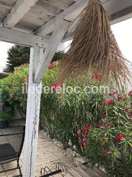 Photo 12 : NC d'une maison située à Rivedoux-Plage, île de Ré.