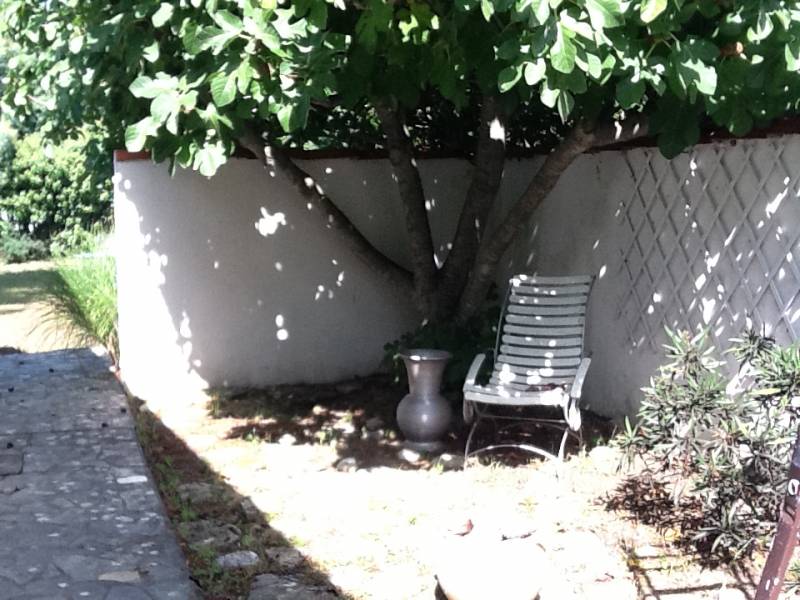 Photo 16 : PATIO d'une maison située à Les Portes-en-Ré, île de Ré.