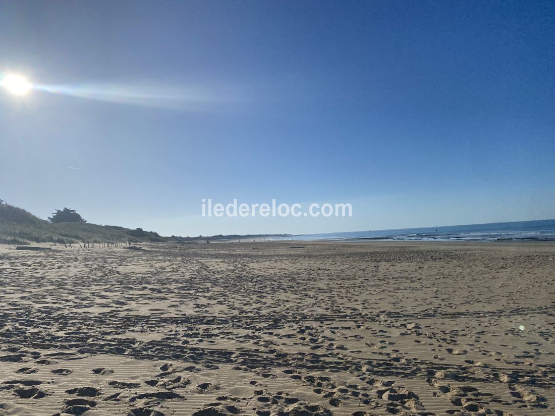 Photo 42 : NC d'une maison située à Le Bois-Plage-en-Ré, île de Ré.