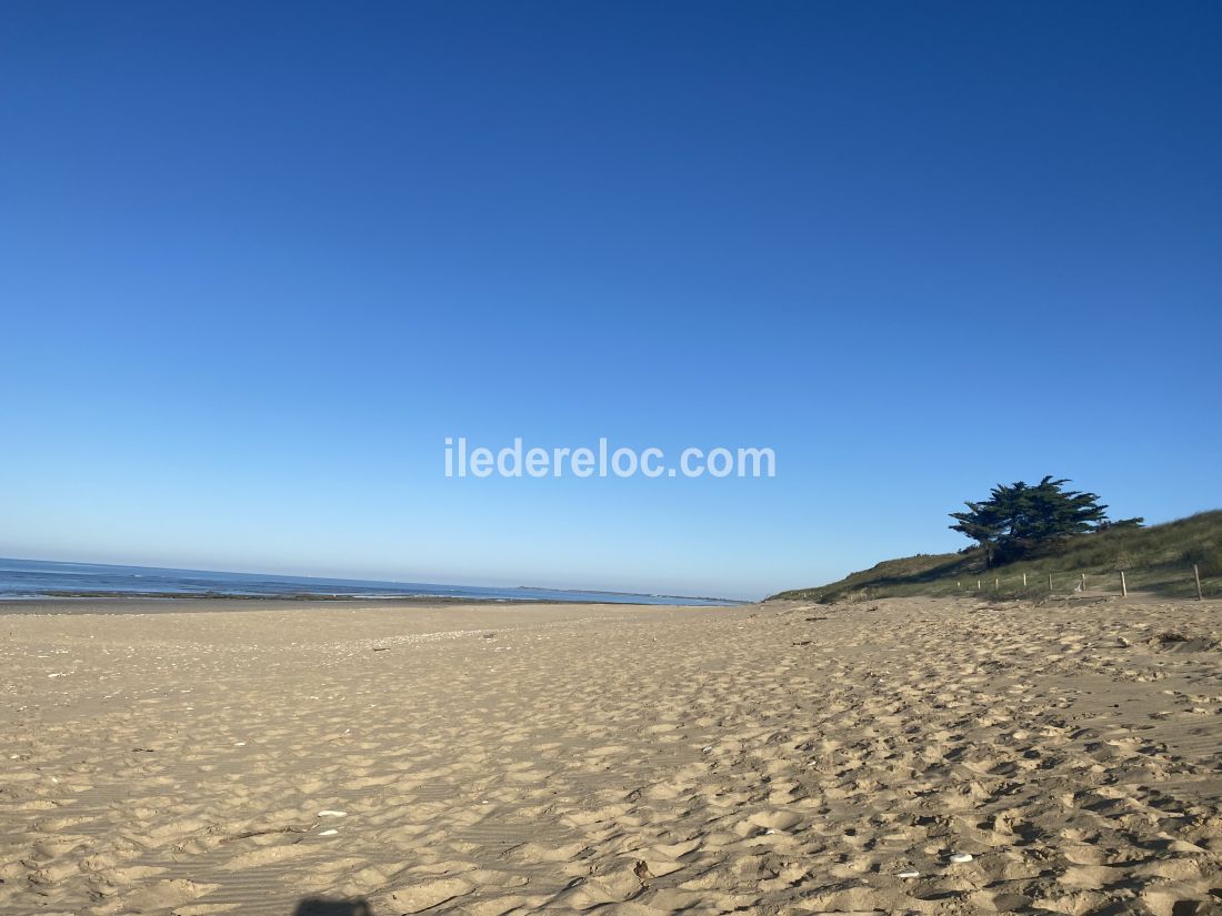 Photo 47 : NC d'une maison située à Le Bois-Plage-en-Ré, île de Ré.