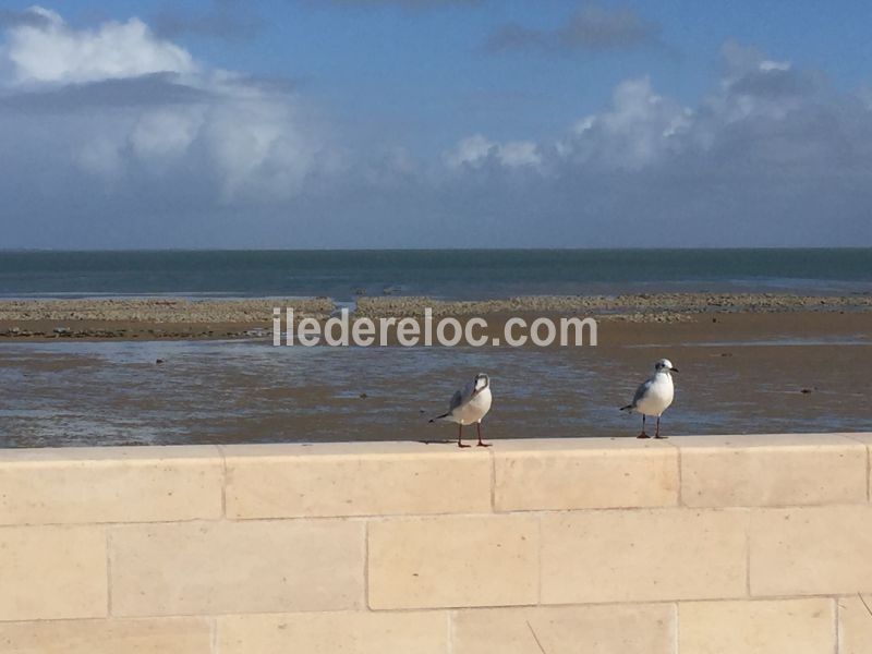 Photo 18 : NC d'une maison située à La Flotte-en-Ré, île de Ré.