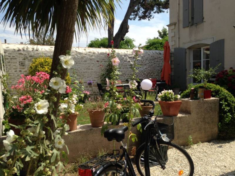 Photo 2 : JARDIN d'une maison située à Saint-Martin-de-Ré, île de Ré.