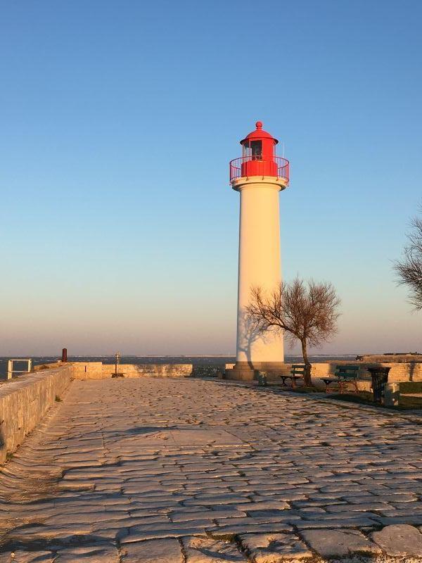 Photo 35 : NC d'une maison située à La Flotte-en-Ré, île de Ré.