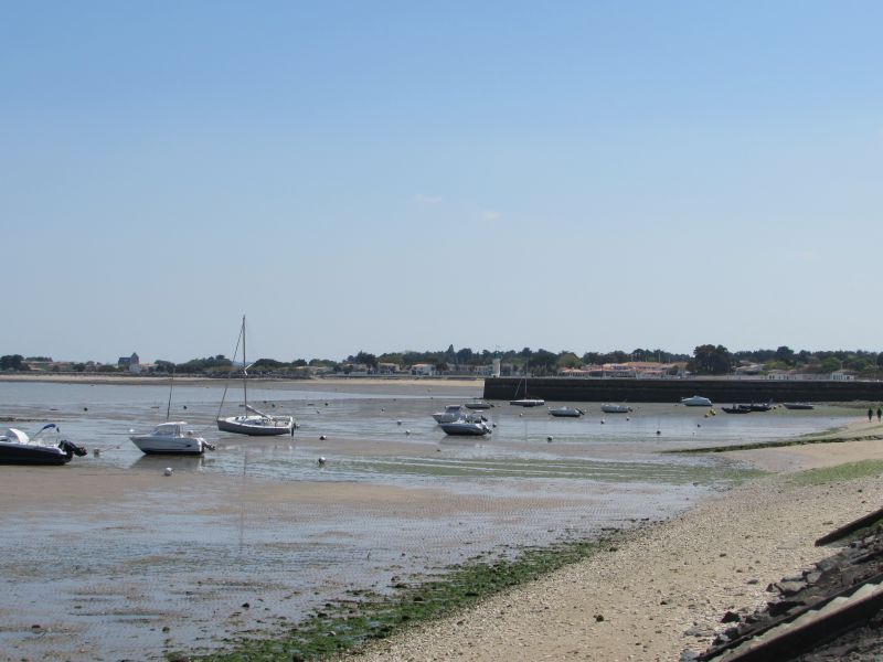 Photo 28 : EXTERIEUR d'une maison située à La Flotte-en-Ré, île de Ré.