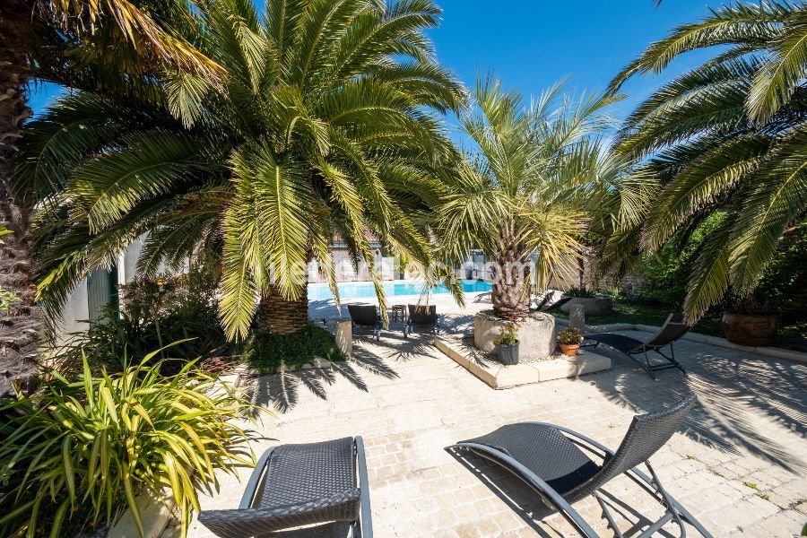 Photo 6 : JARDIN d'une maison située à La Flotte-en-Ré, île de Ré.