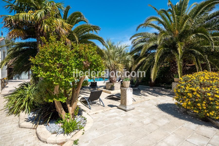 Photo 7 : JARDIN d'une maison située à La Flotte-en-Ré, île de Ré.