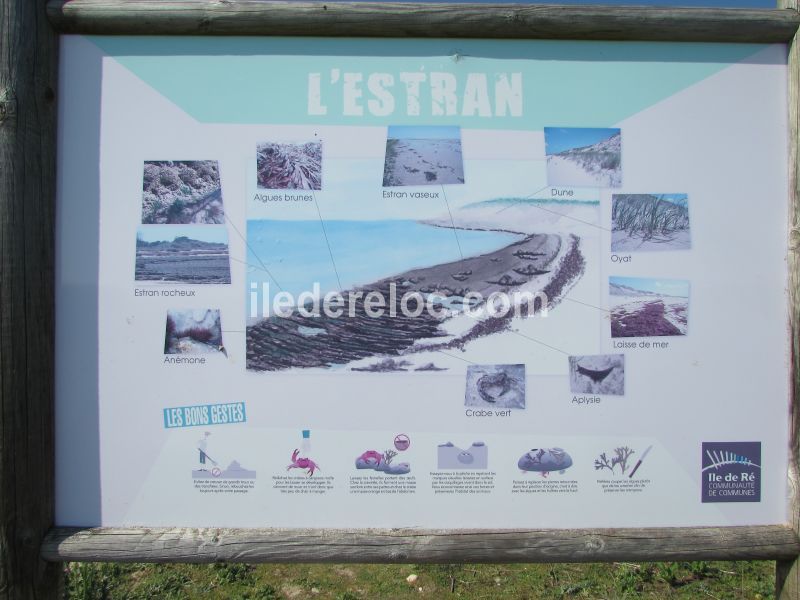 Photo 30 : AUTRE d'une maison située à La Flotte-en-Ré, île de Ré.