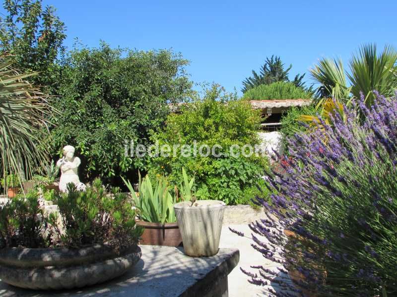 Photo 5 : JARDIN d'une maison située à La Flotte-en-Ré, île de Ré.