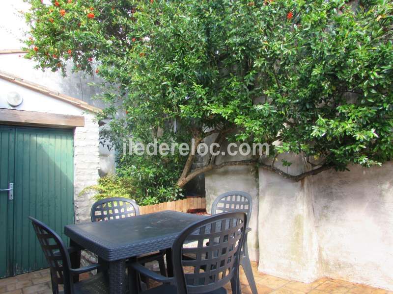 Photo 12 : TERRASSE d'une maison située à La Flotte-en-Ré, île de Ré.